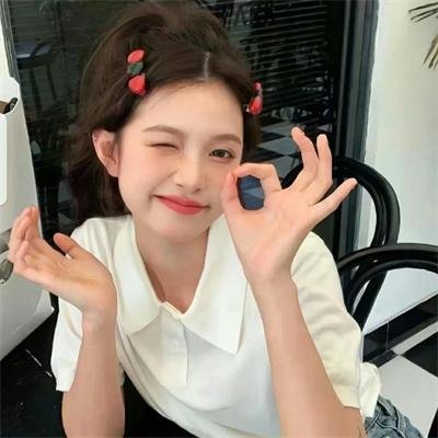 总想刁民来害朕